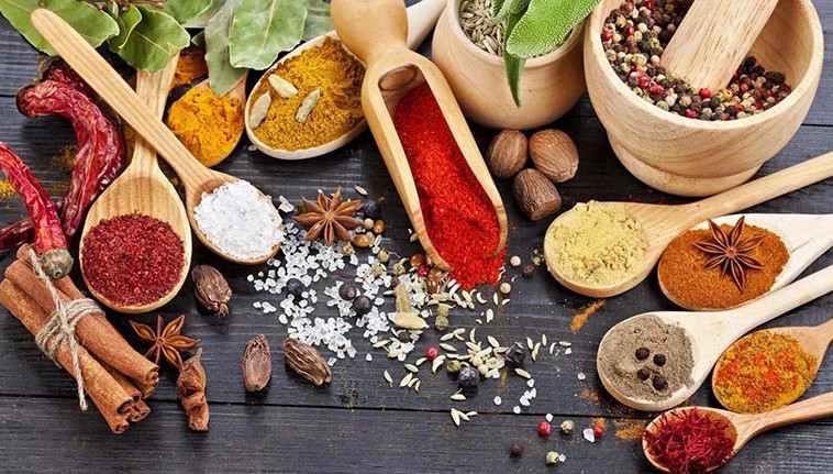 CHIẾT XUẤT TỪ ĐỘNG - THỰC VẬT