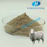 SHEEP PLACENTA EXTRACT POWDER – BỘT NHAU THAI CỪU