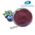 BILBERRY EXTRACT