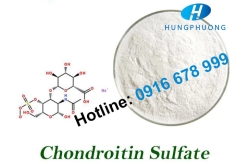 CHONDROITIN SULFATE