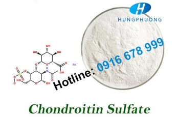 CHONDROITIN SULFATE